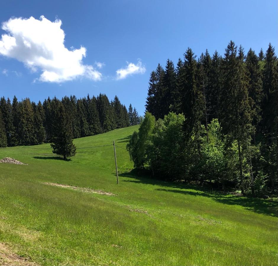 ホテル Blick Lądek-Zdrój エクステリア 写真
