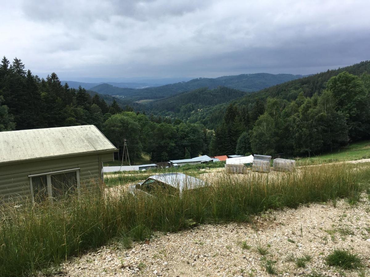 ホテル Blick Lądek-Zdrój エクステリア 写真